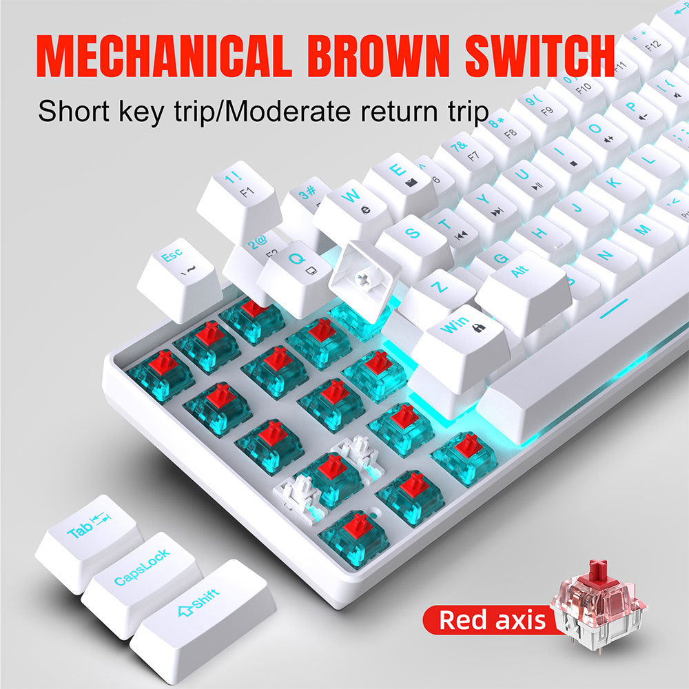 65% Mechanical Keyboard (Wired, 68 Keys)