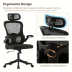 Ergonomic Office Chair [VARIATIONS-AVAILABLE]